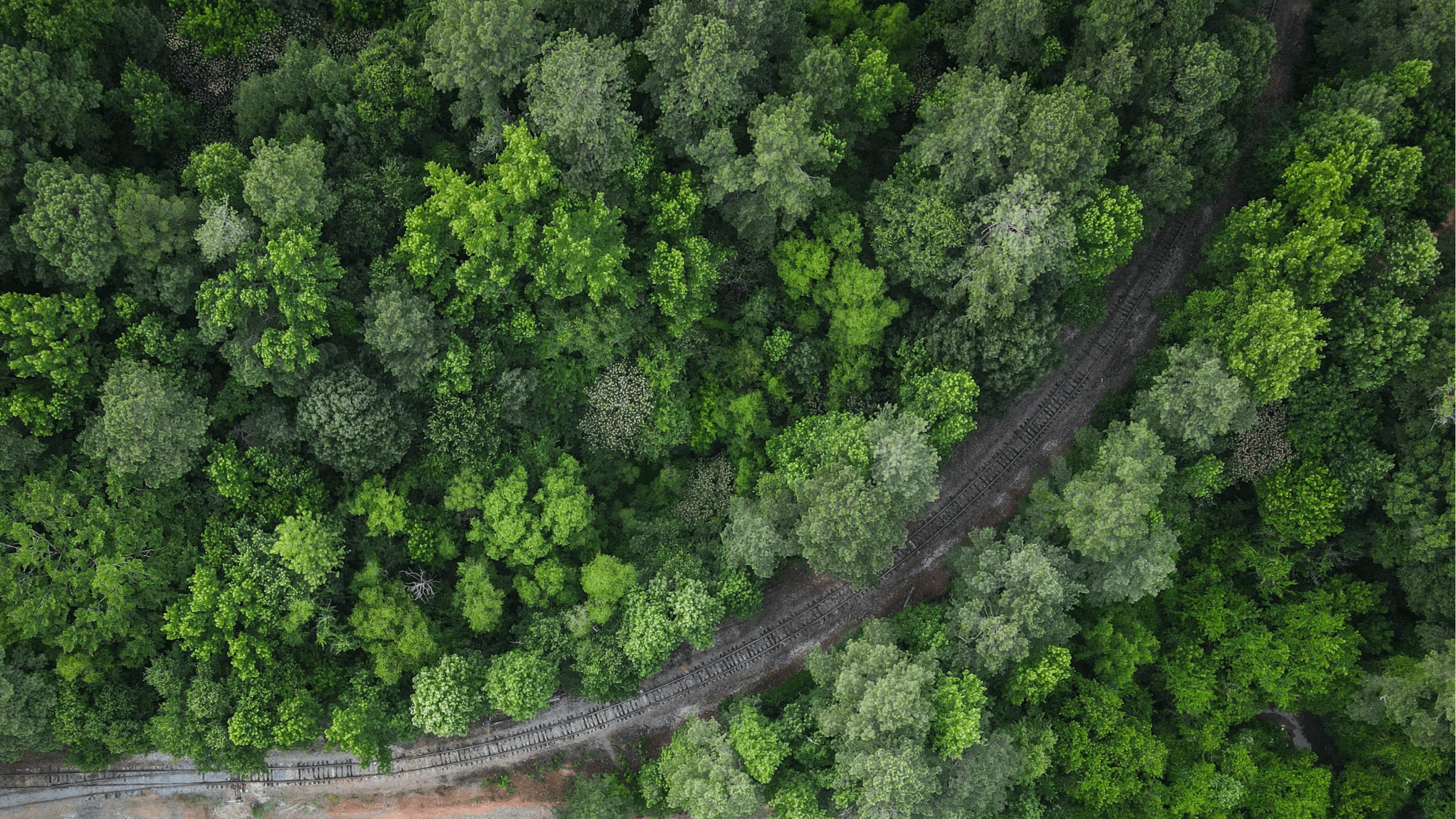 Infrastructure & Utilities