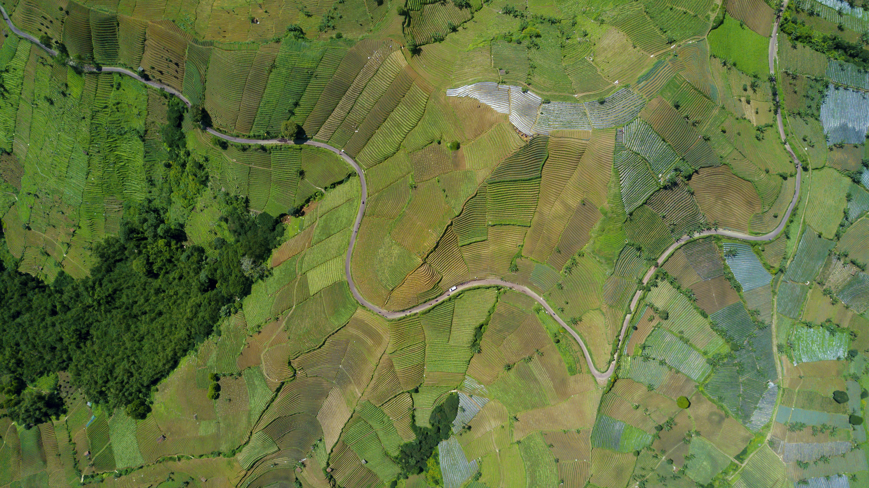 Aerial image 3