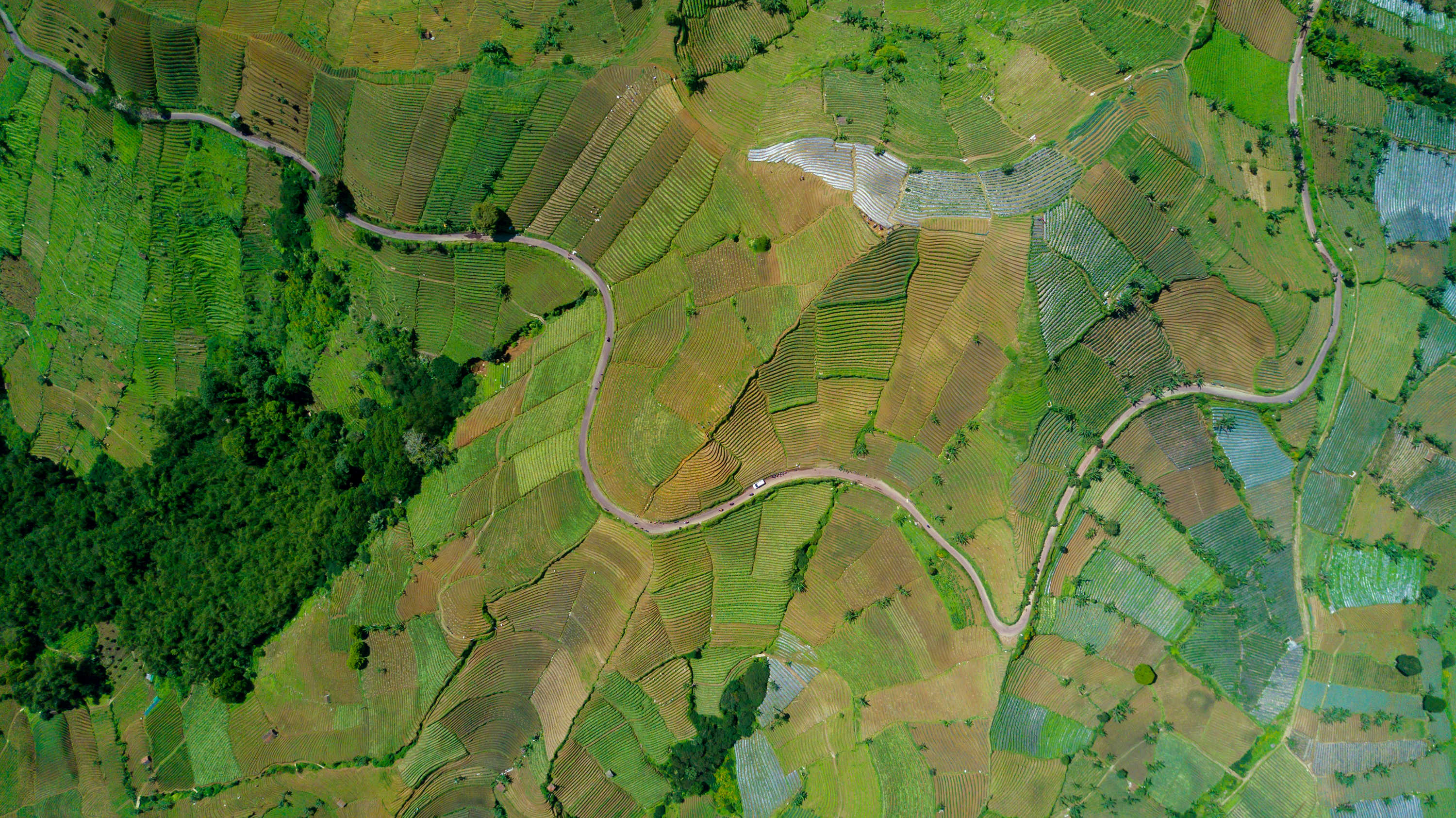 Aerial image 3
