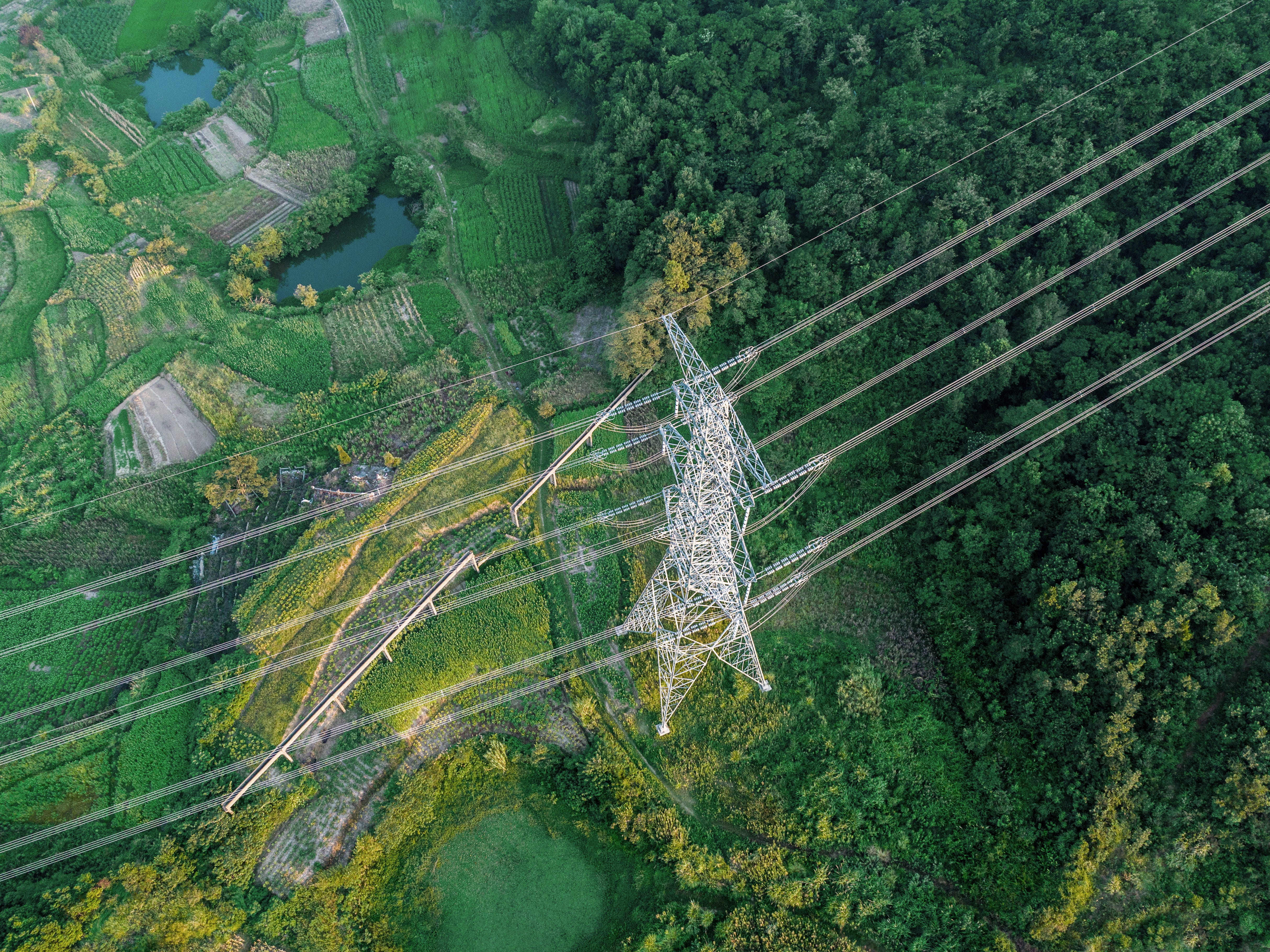 How to improve utility vegetation management with satellite imagery