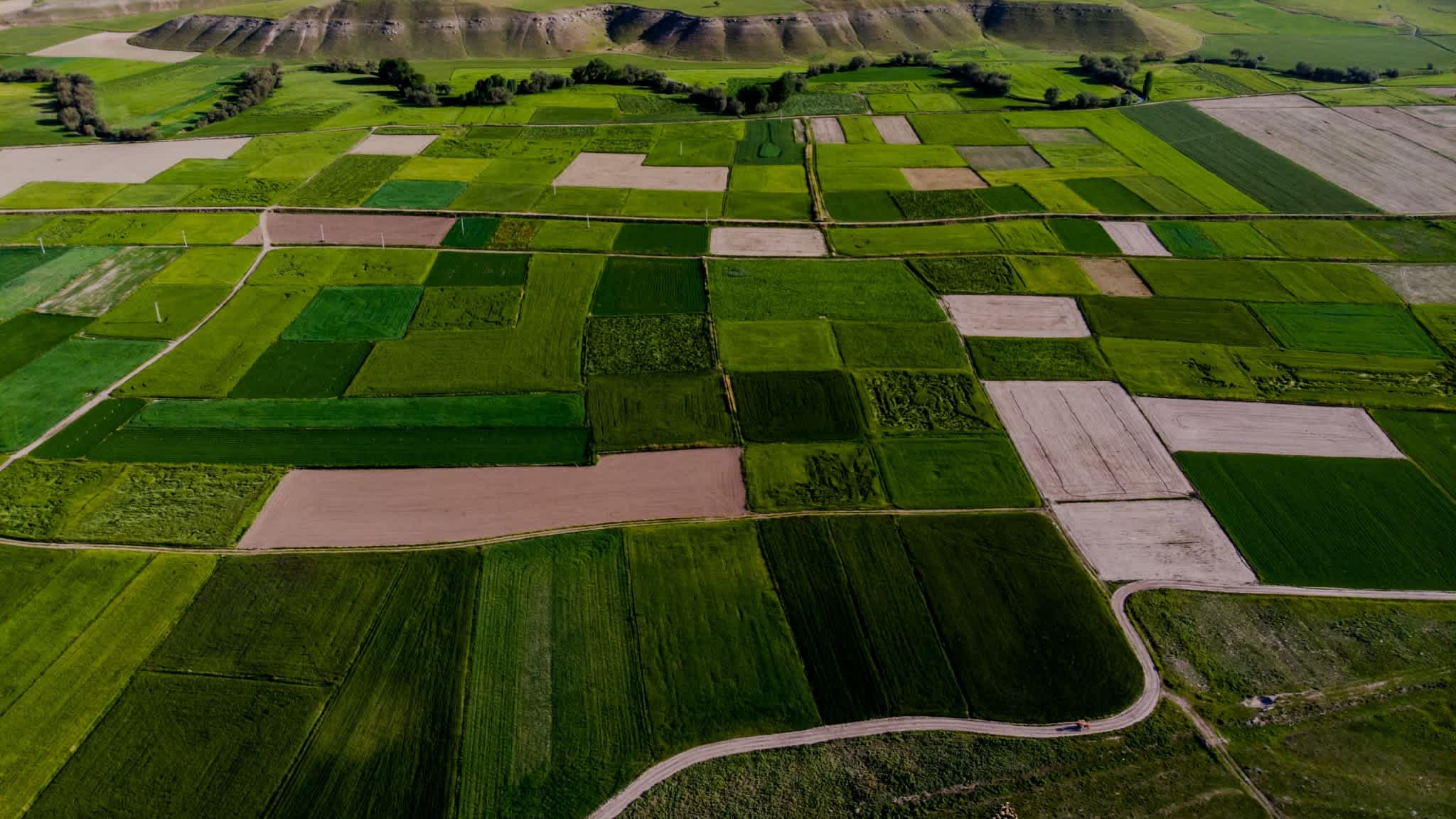 aerial-fields