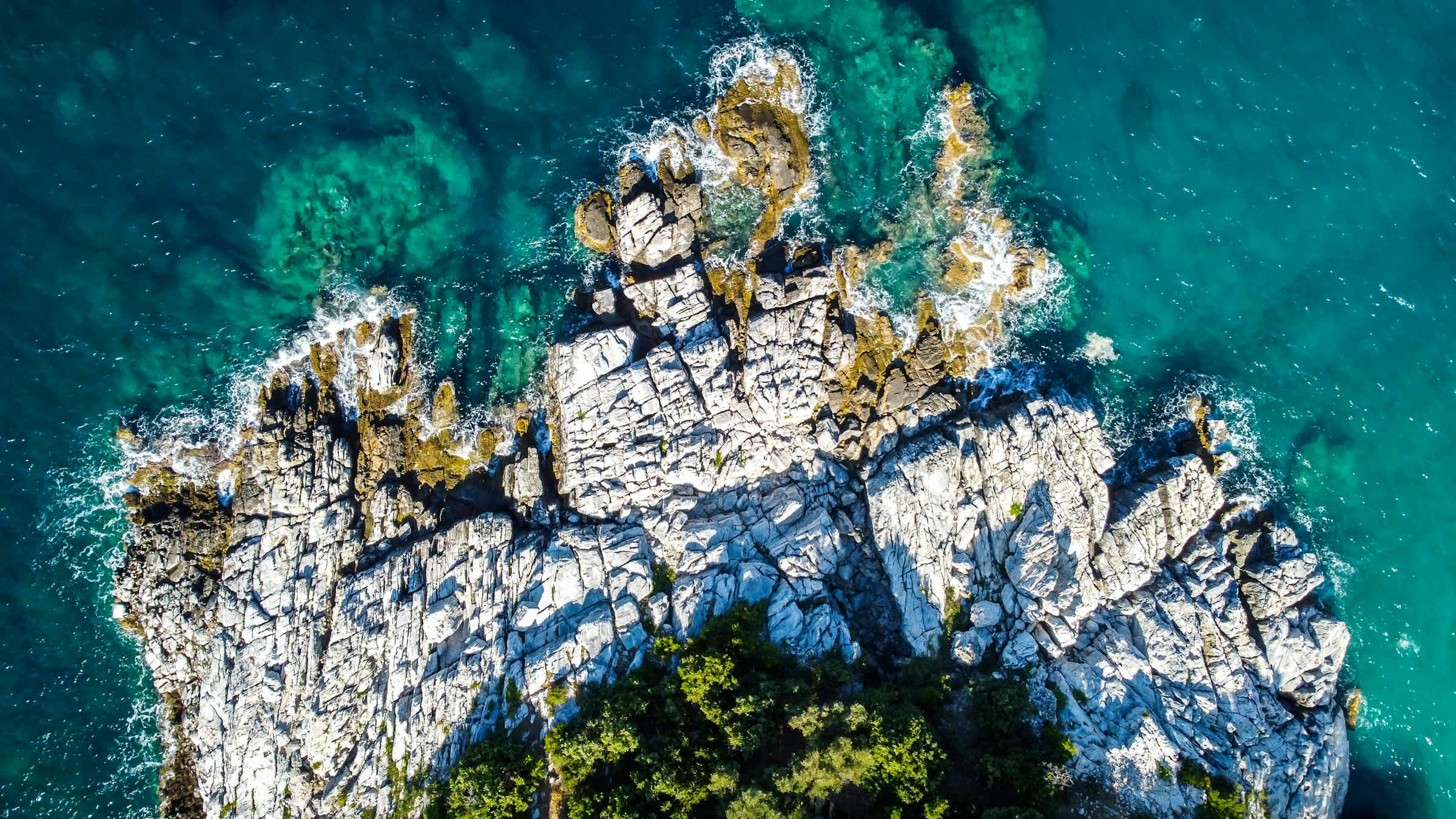 Processing blog image