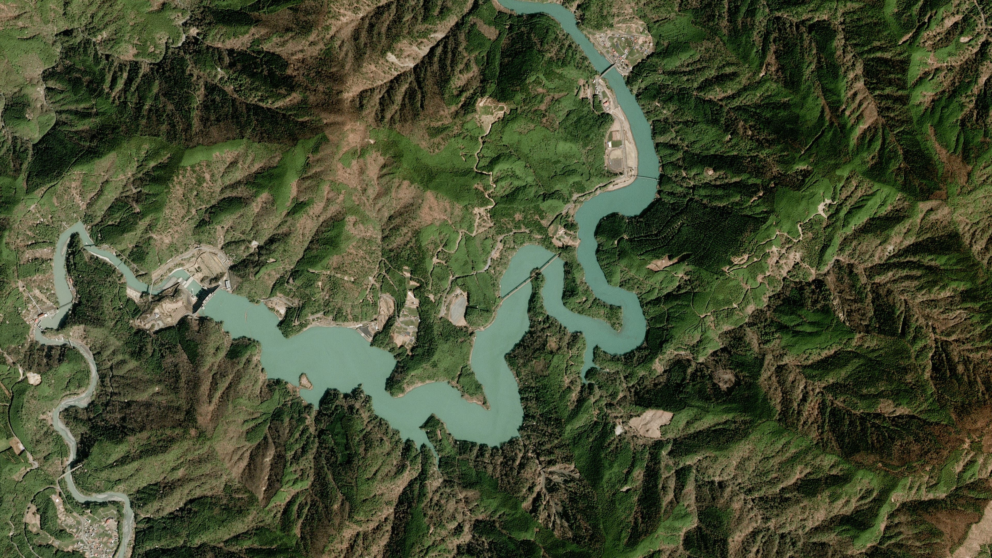 satellite-river-forest