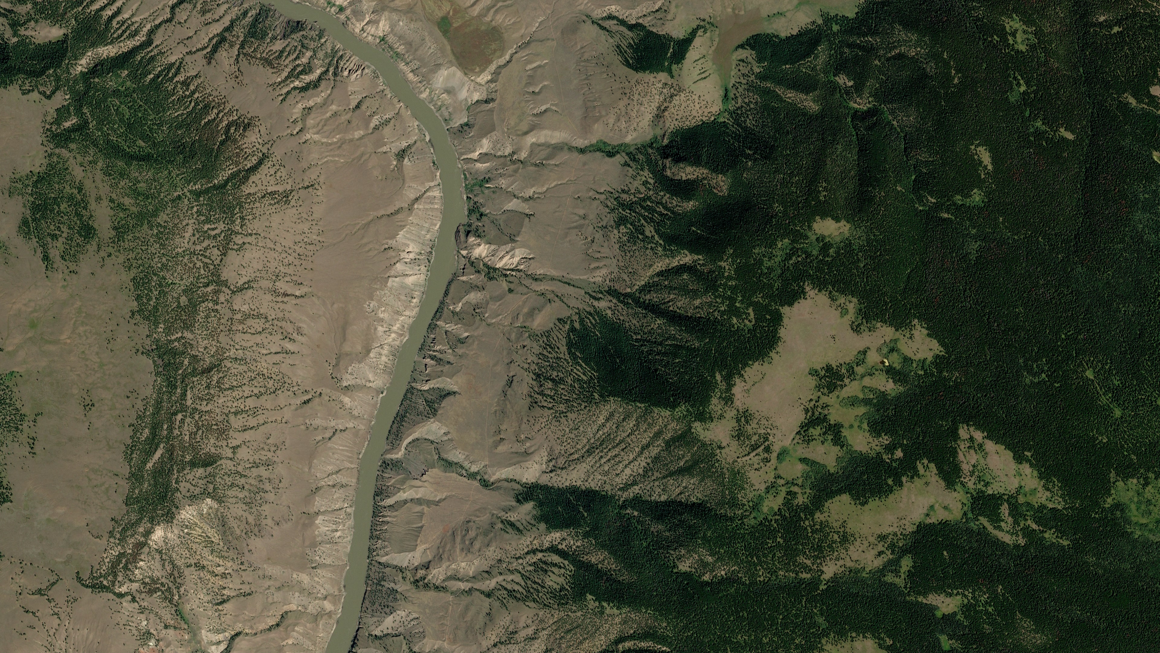 Platform image deforestation