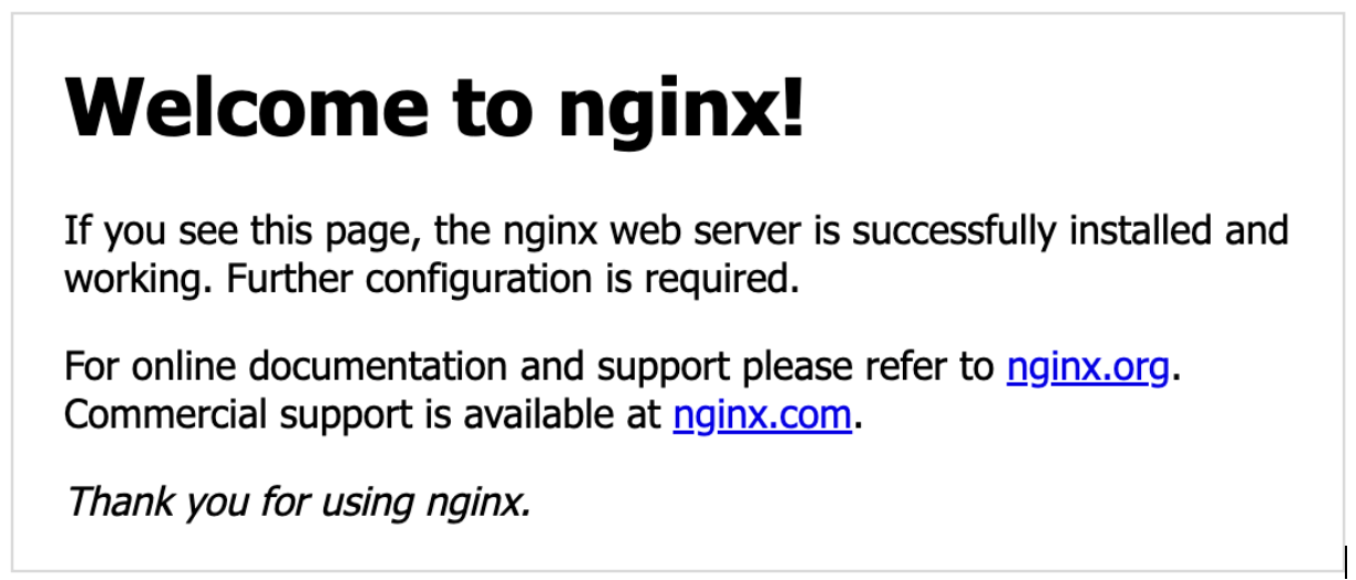 nginx homepage image