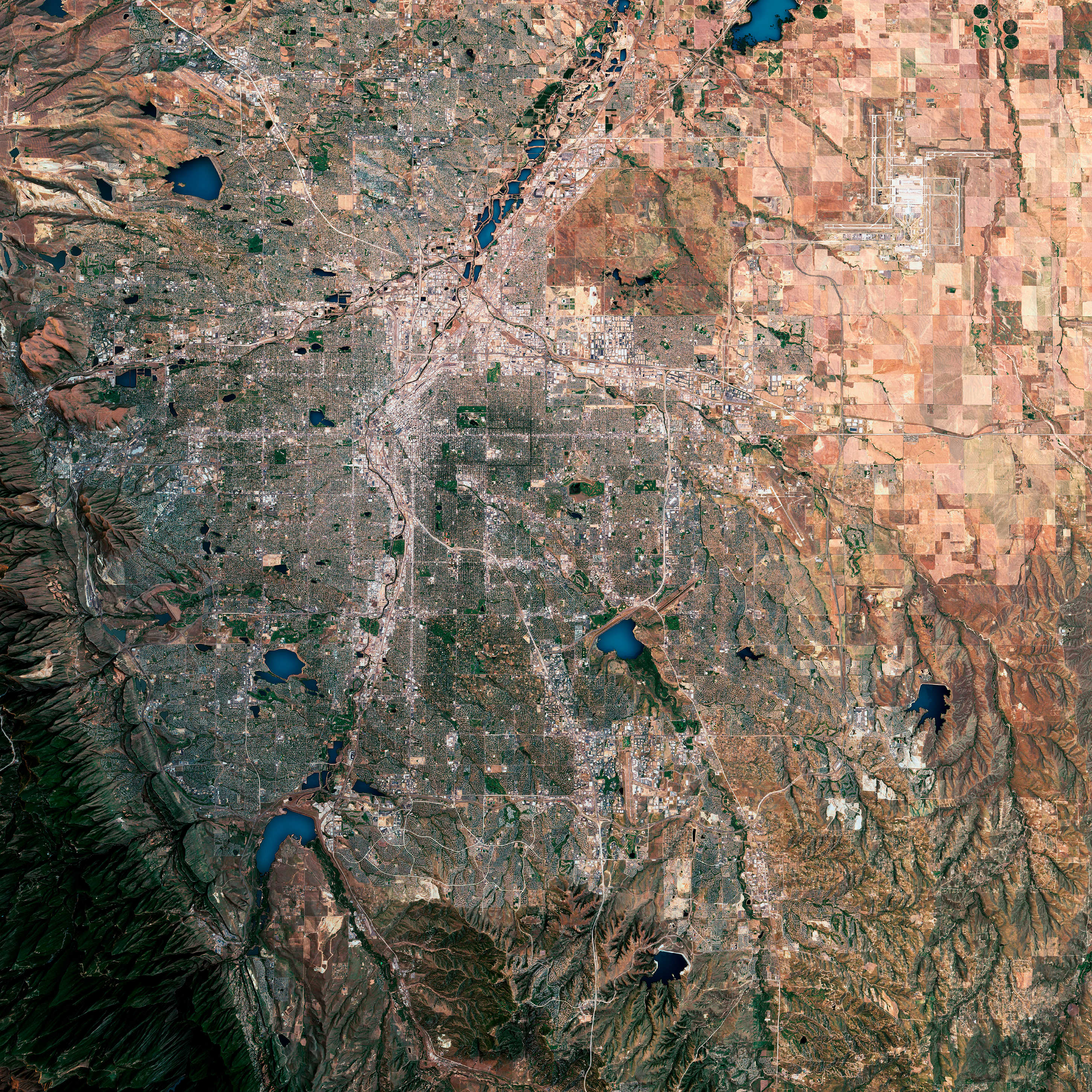 AI Tarket-markets Image