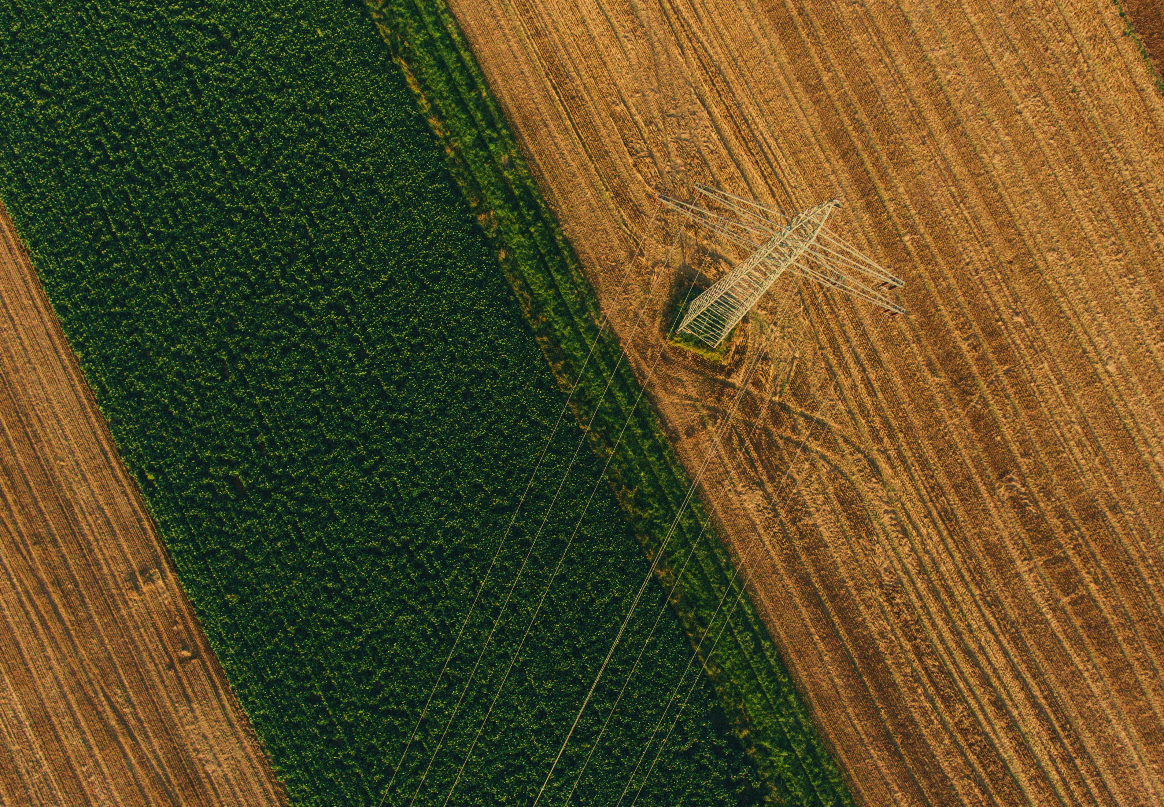 Satellite-Powered Utility Vegetation Management with AiDash