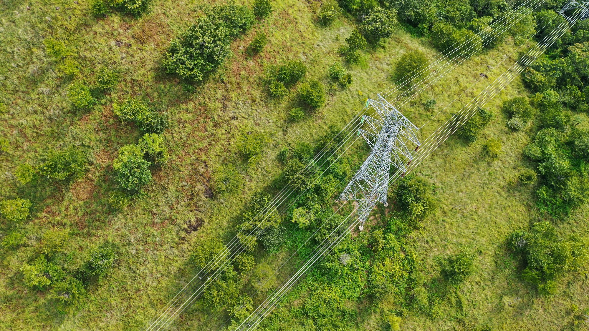 What is vegetation management and infrastructure maintenance, and how does geospatial data help?