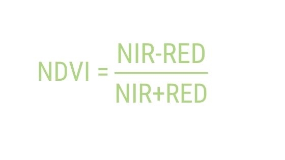 NDVI formula