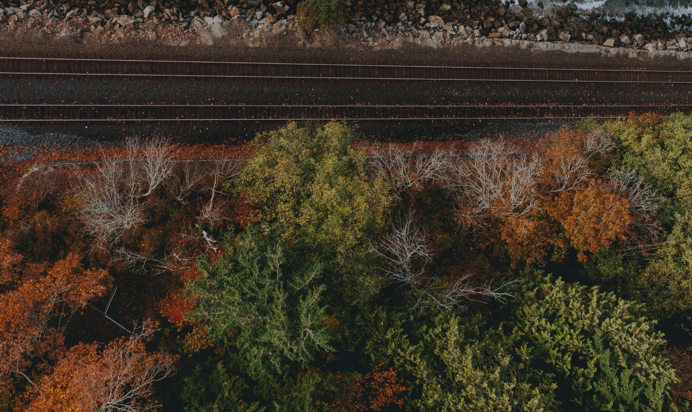 nate-johnston-I2DLd9RMsE8-unsplash 2