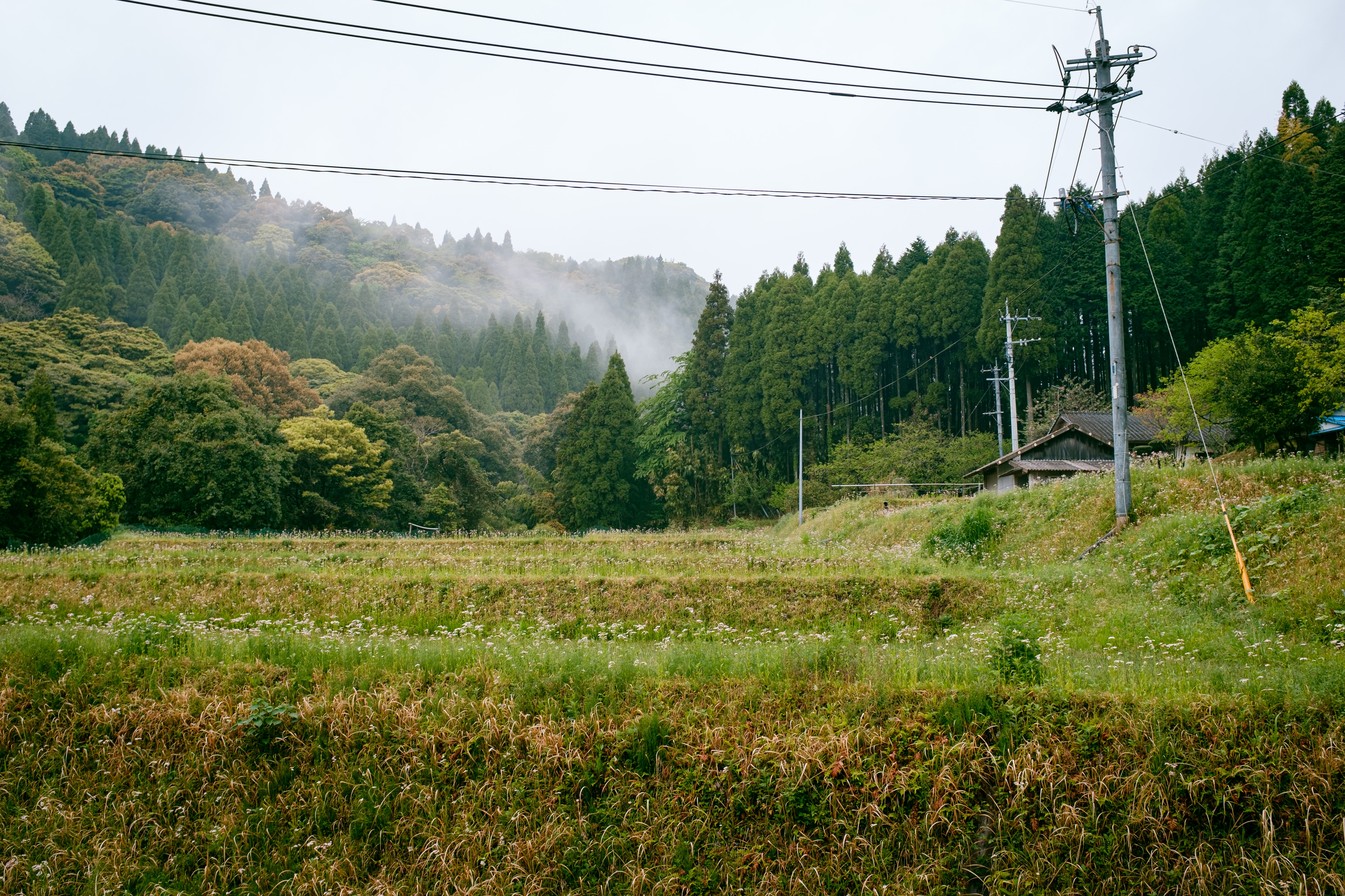 ICYMI: Will Remote Sensing Replace Ground-Based Monitoring?