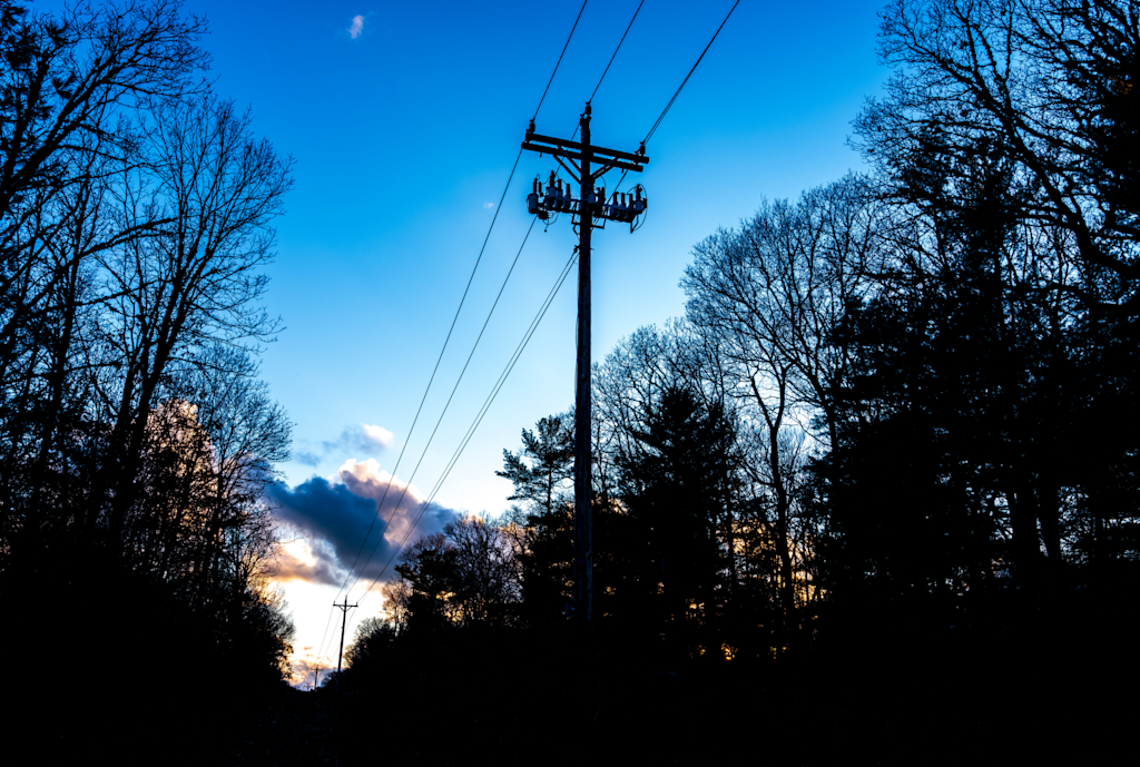 Utility vegetation management: Elevation models and stereo imagery for DEM generation
