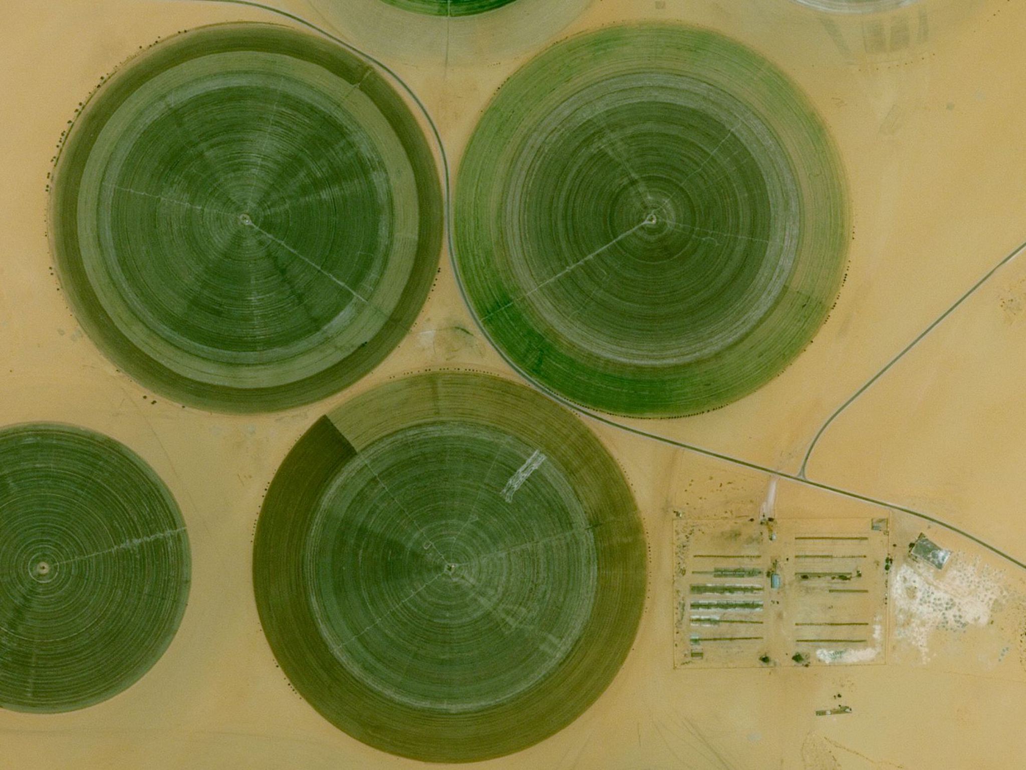 Overhaul Agricultural Workflows with Fertilization Zoning by Vultus