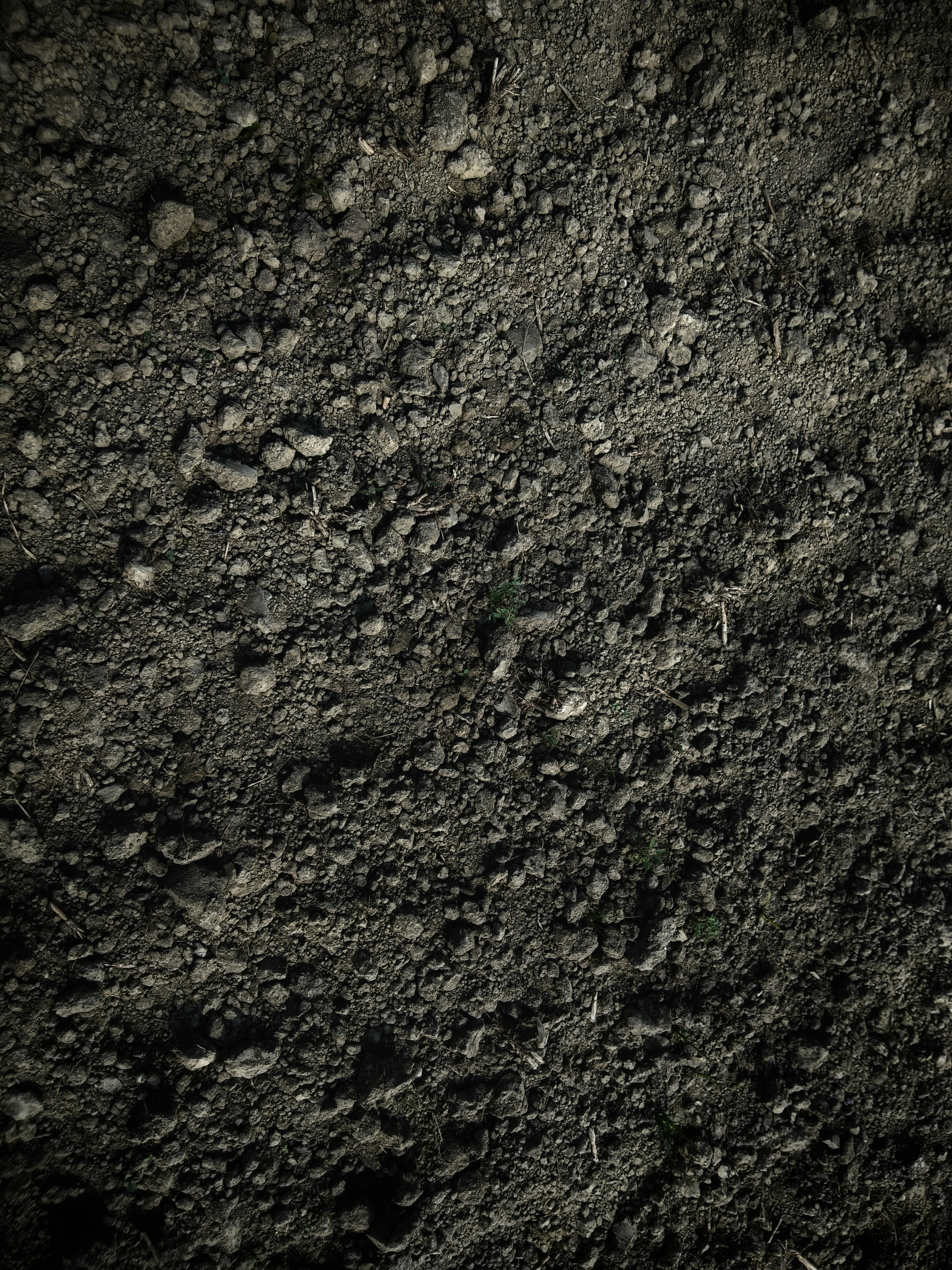 soil-unsplash