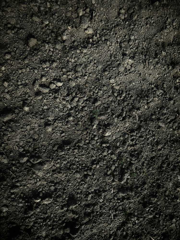 soil-unsplash