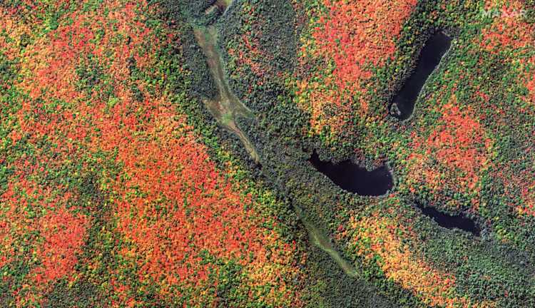 Maxar 21 Fall colors in Quebec lac-nilgaut canada 27sept2023 ge1