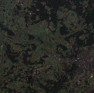 Quicklook image