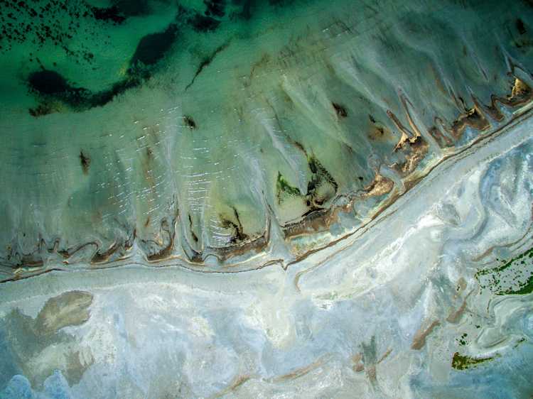 Pléiades Moabi regional park