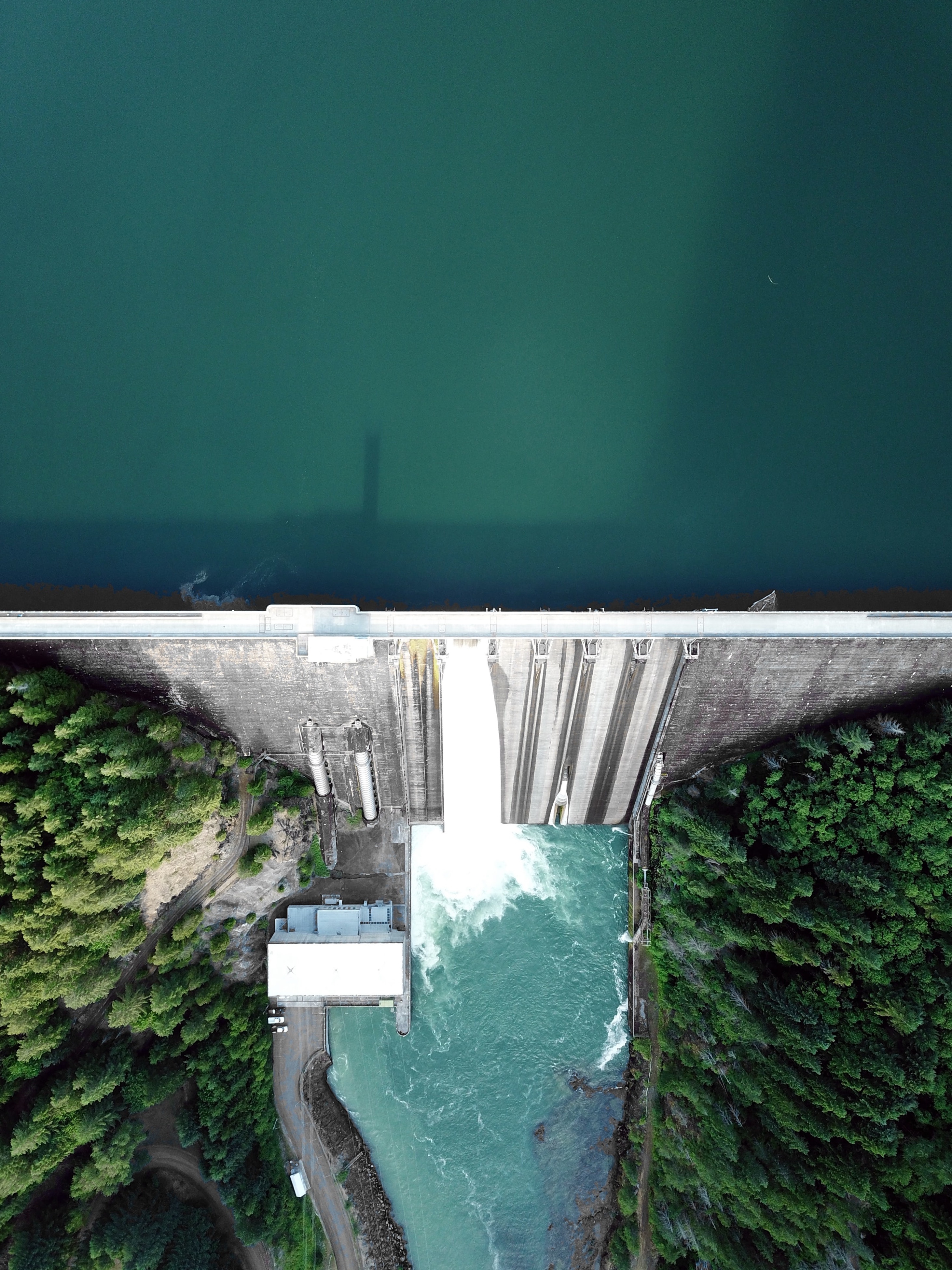 Leveraging SAR and elevation data to assess the potential scale of flood damage