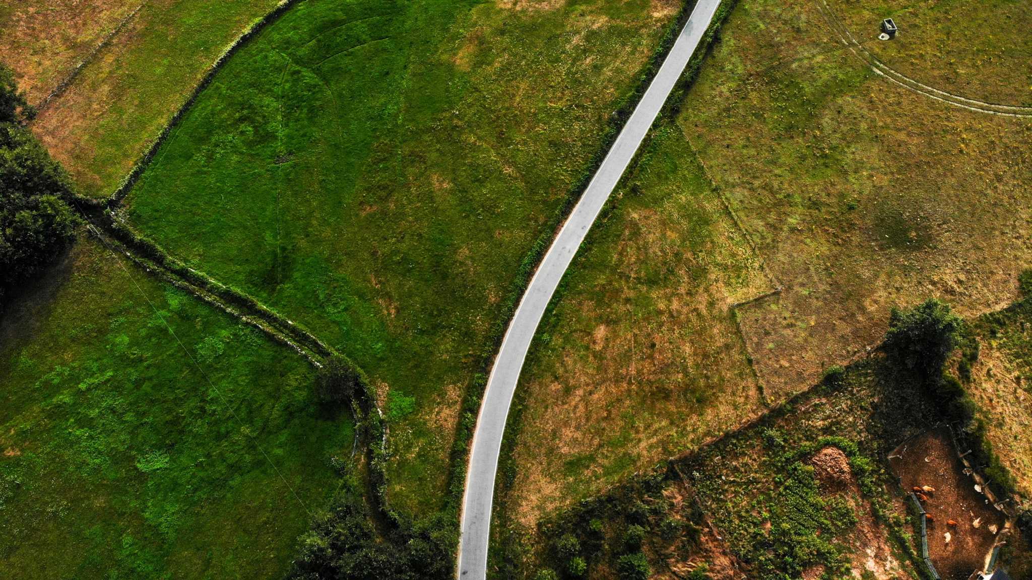 satellite-road-fields