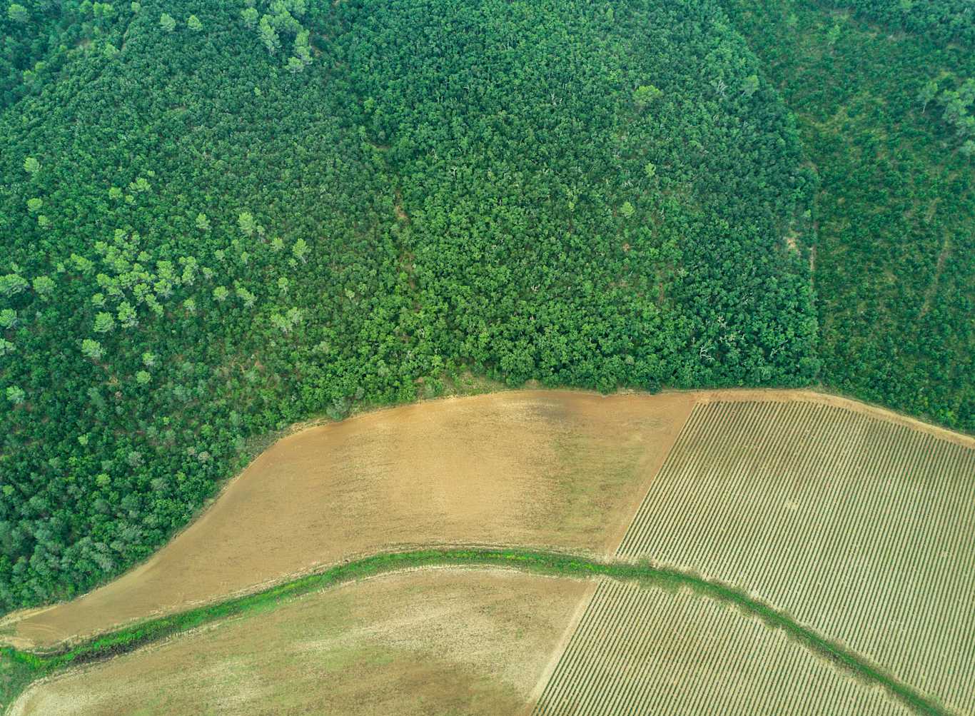 Change detection: How to use the UP42 platform to analyze landslides · UP42