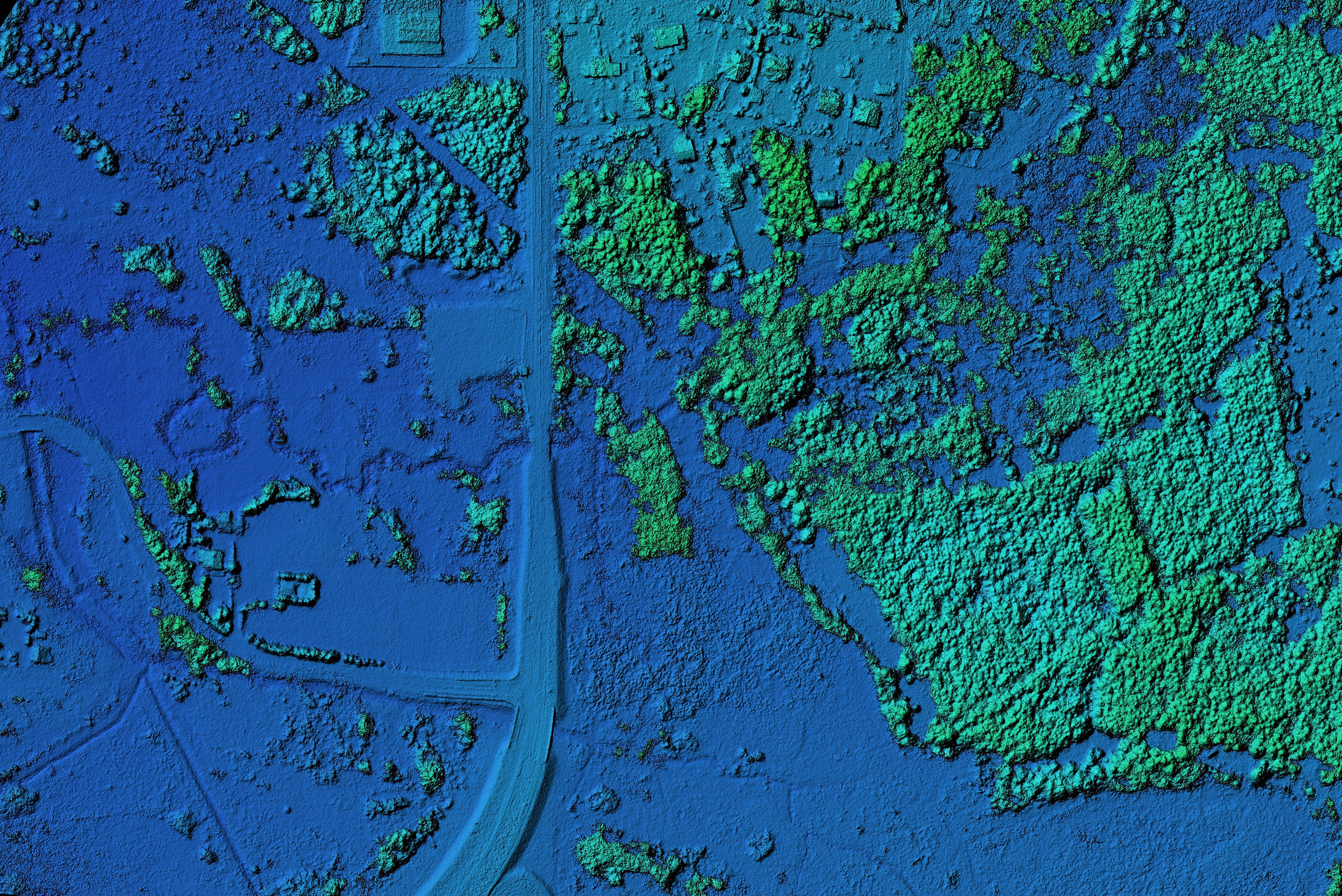 Utility vegetation management: Elevation models and stereo imagery for DEM generation 