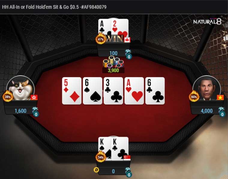 We are definitely all-in with Pocket Kings!