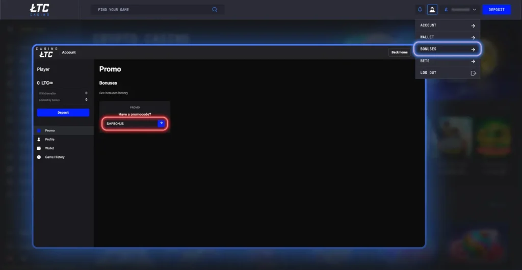 How to Use the Exclusive LTC Casino Promo Code