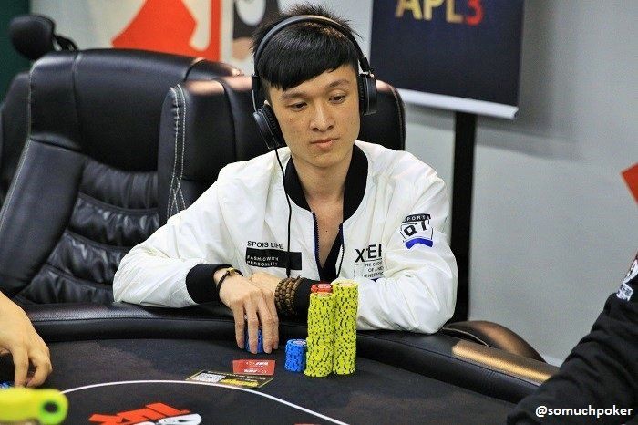 Many notable pros survive APL Main Event Day 2; Canlin Chen in the lead