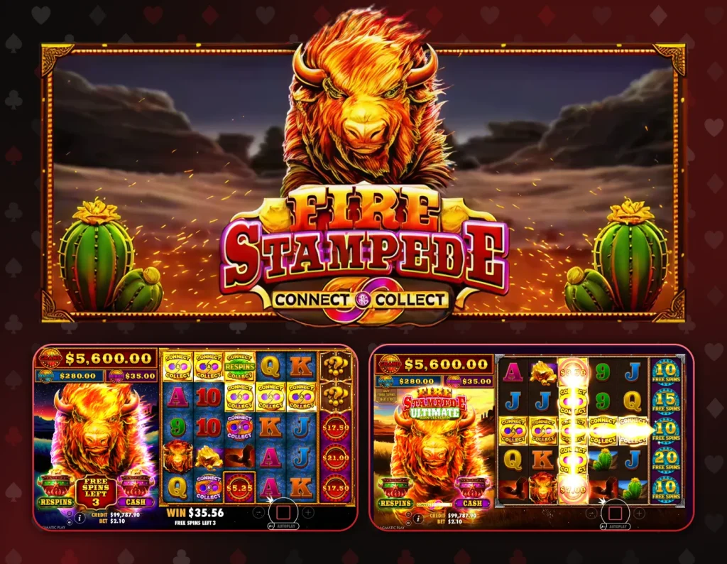 Fire Stampede Bonus Buy Casino Game