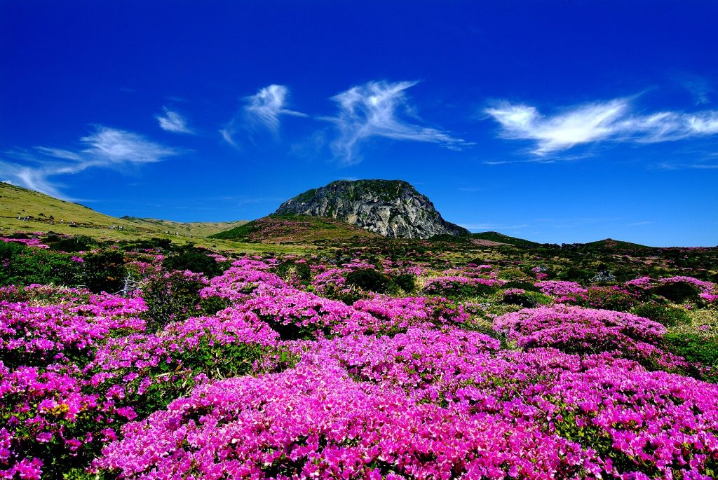 Hallasan Mountain, Jeju