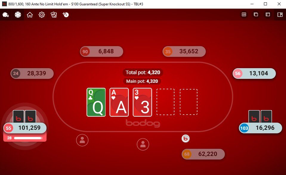 100k bodog tournament table 2