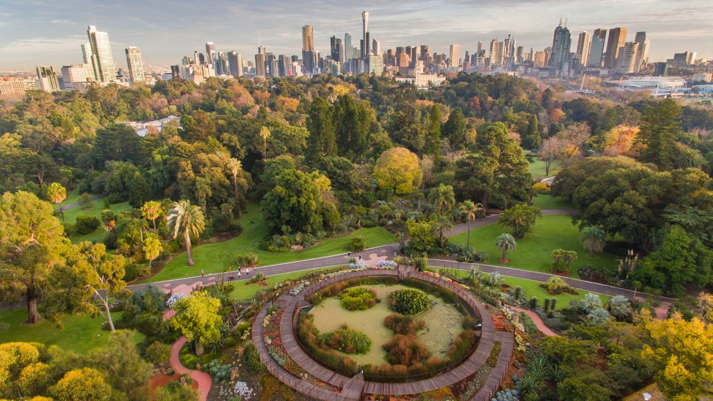 Credit: Royal Botanic Gardens Victoria
