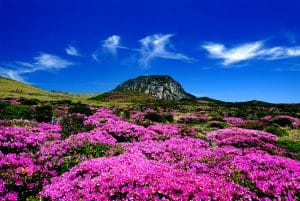 Jeju, South Korea