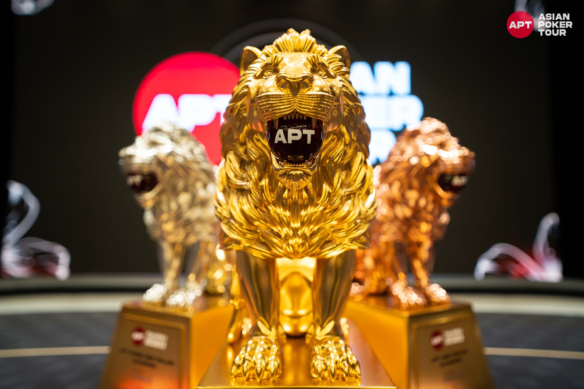 Asian Poker Tour - APT lion trophy