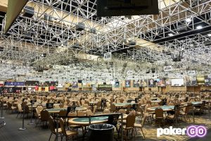 Image courtesy of pokergo.com