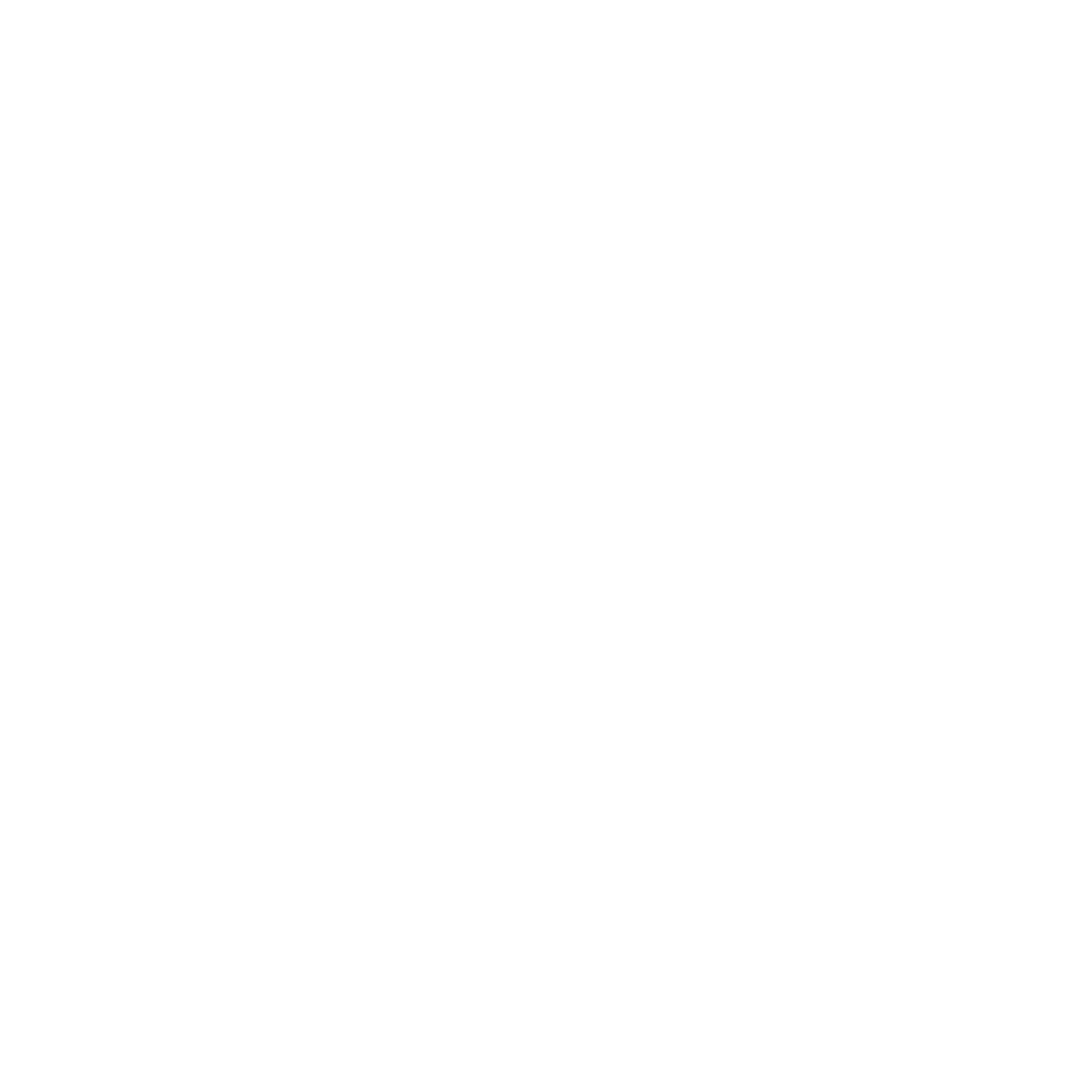 Duel