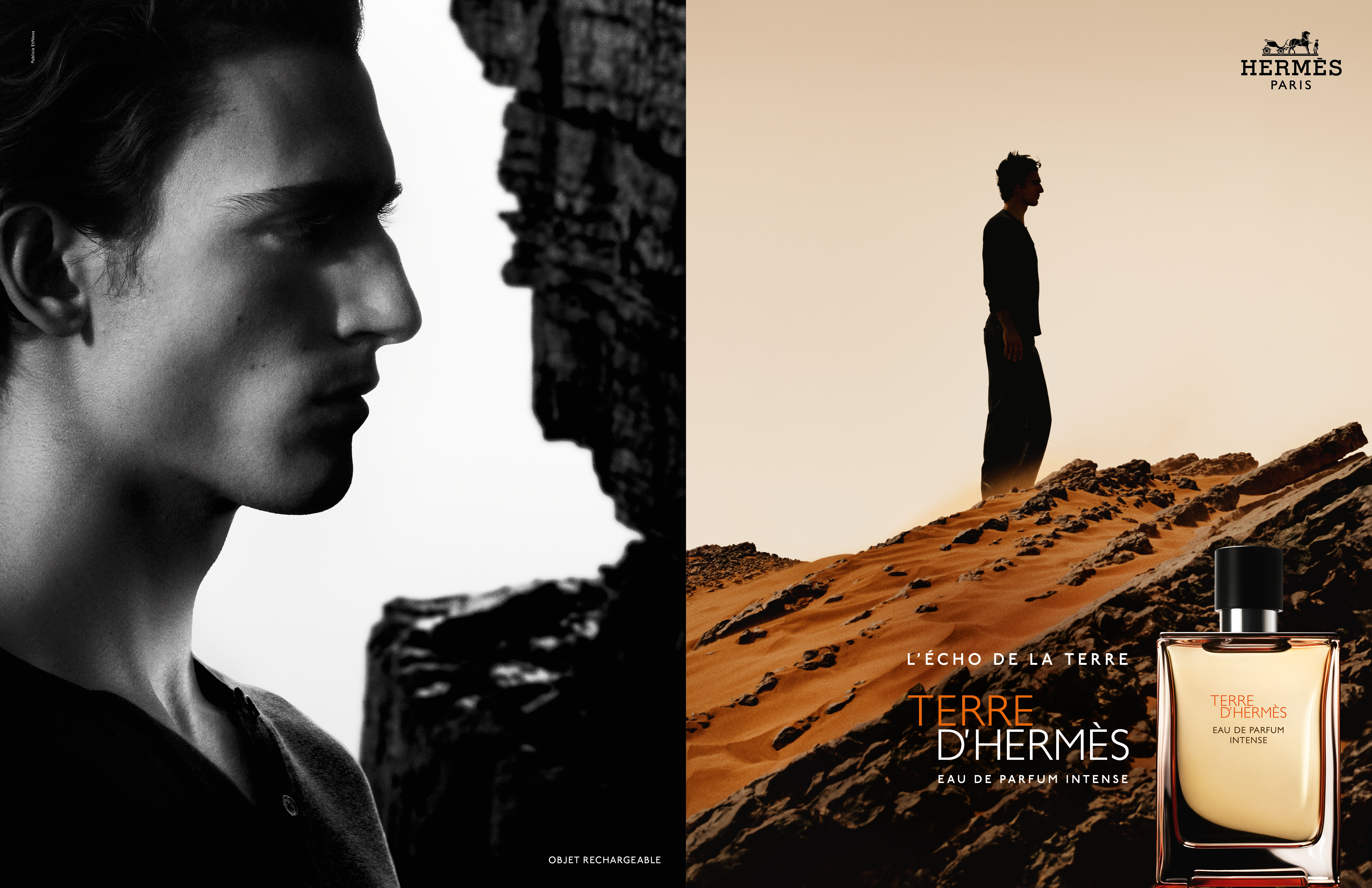 TDHIntense-DPIncarné