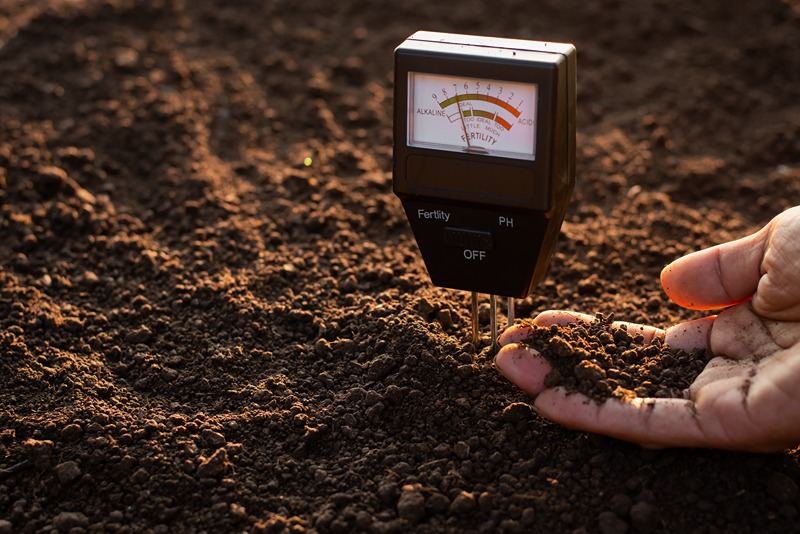 A_soil_meter_and_a_farmer's_hands_are_picking_up_soil_for_planting.