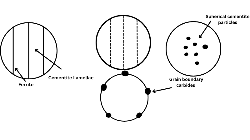 Cementite_Lamellae