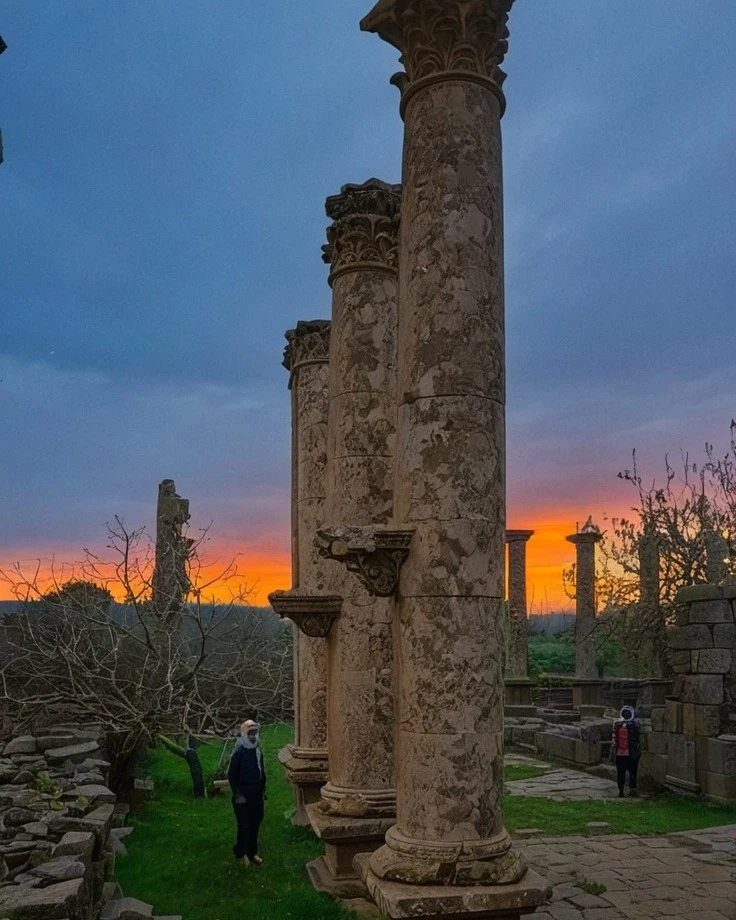Building Livelihoods that Protect Druze Communities and Minorities