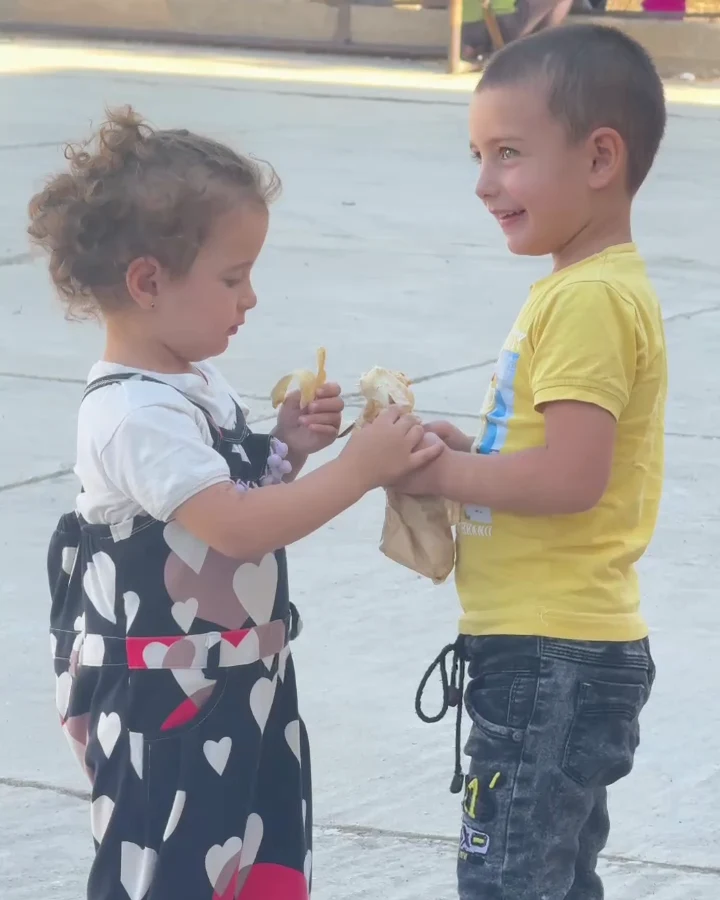 Human Rights Advocacy