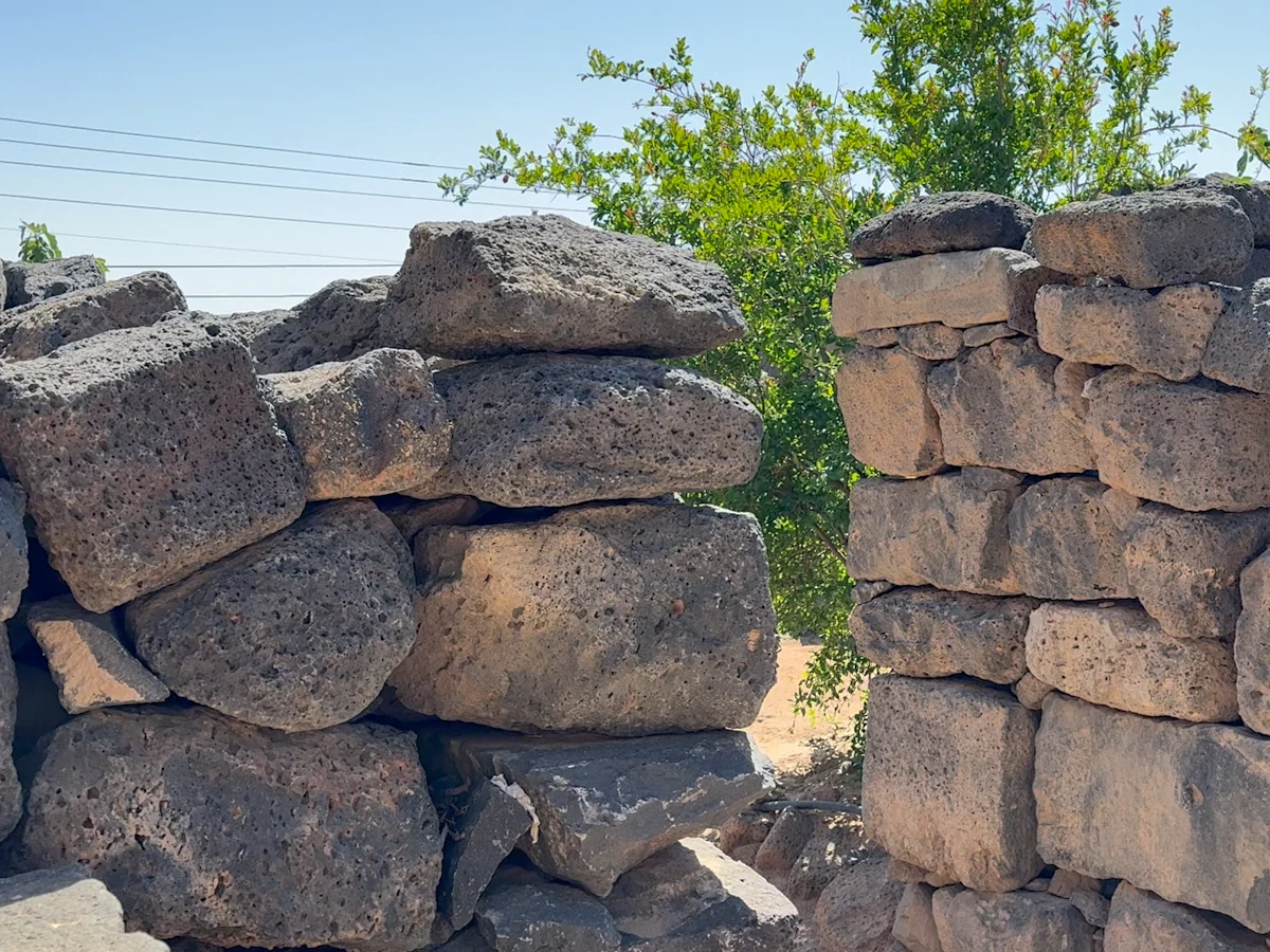 Build Livelihoods. Protect Identity. Strengthen Coexistence.