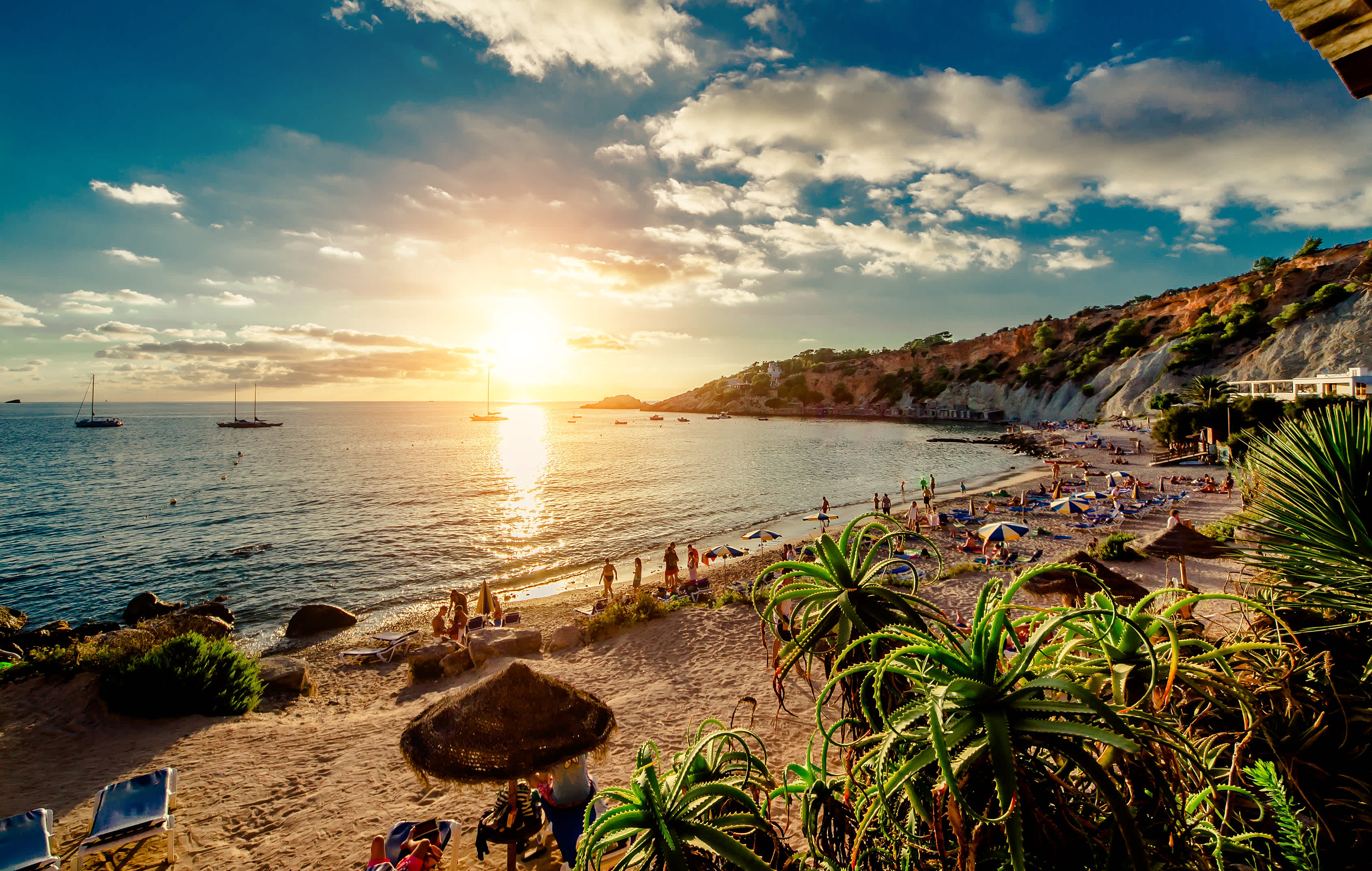 Navigating Ibiza: A Wry Guide