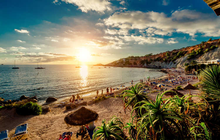 Navigating Ibiza: A Wry Guide