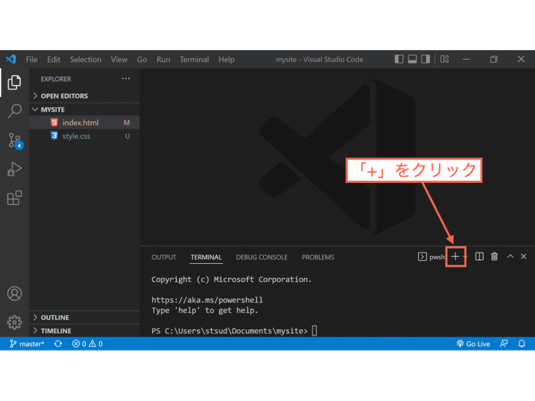 VSCodeのターミナル右側の「+」マークをクリック