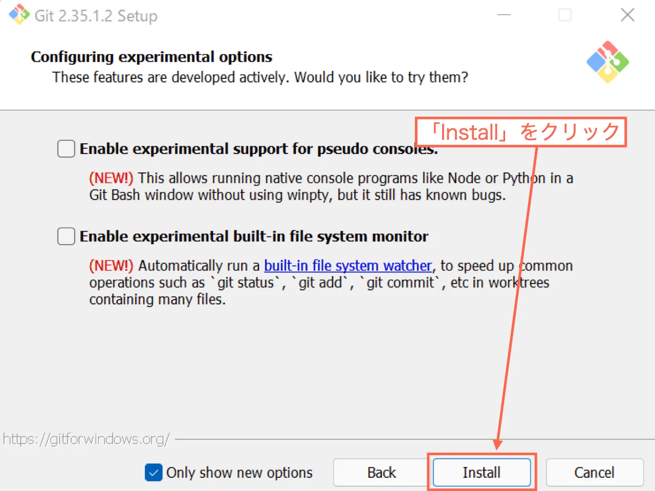 【Configuring experimental options】「Next」をクリック