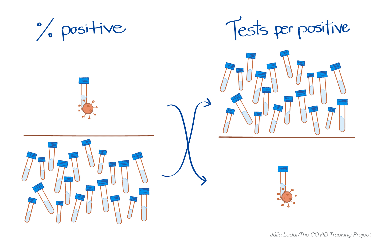 Illustration of percent positive (testing vial with virus over testing vials) versus tests per positive (testing vials over a vial with virus) 