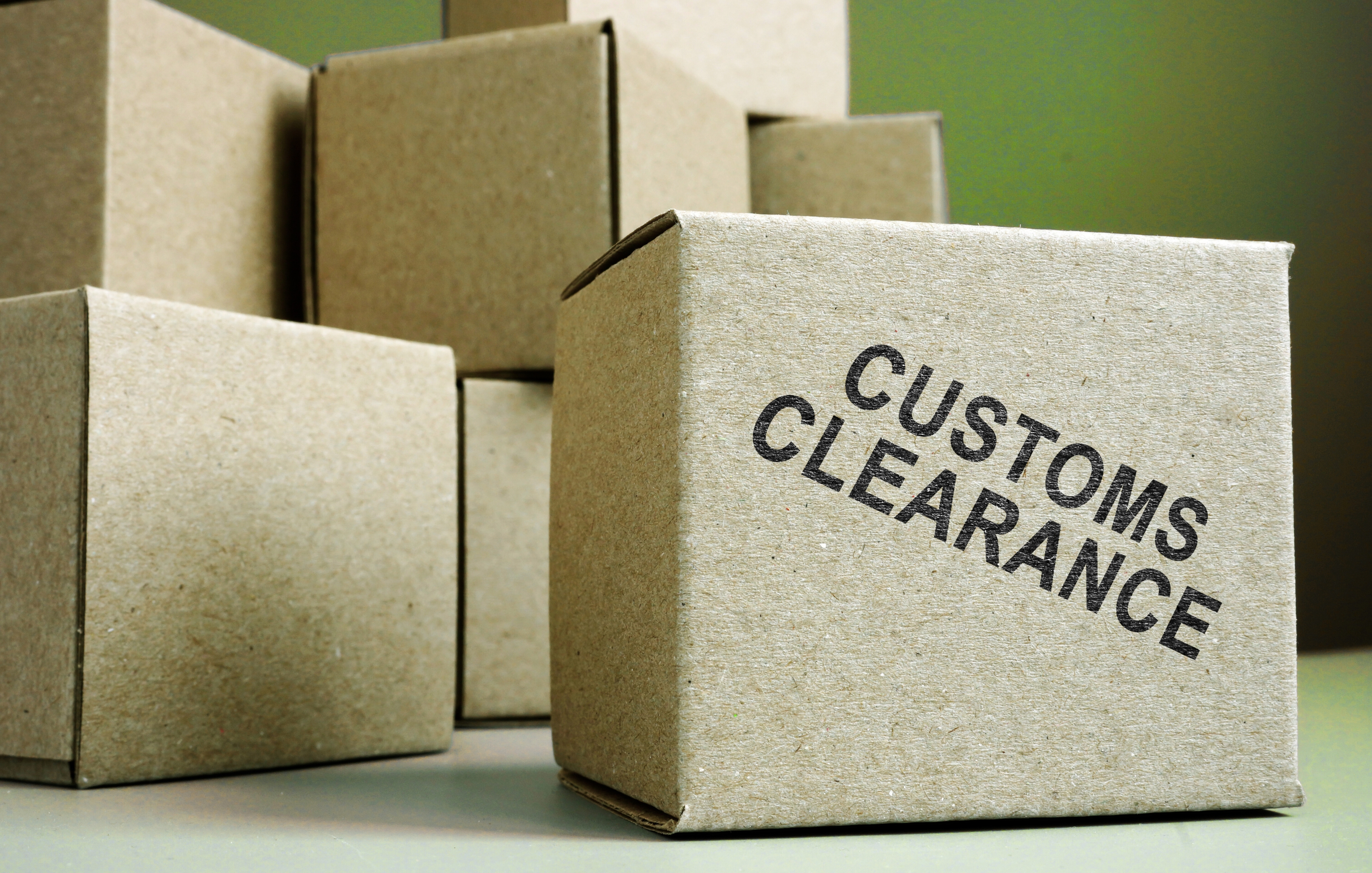 Customs Clearance | Omida VLS