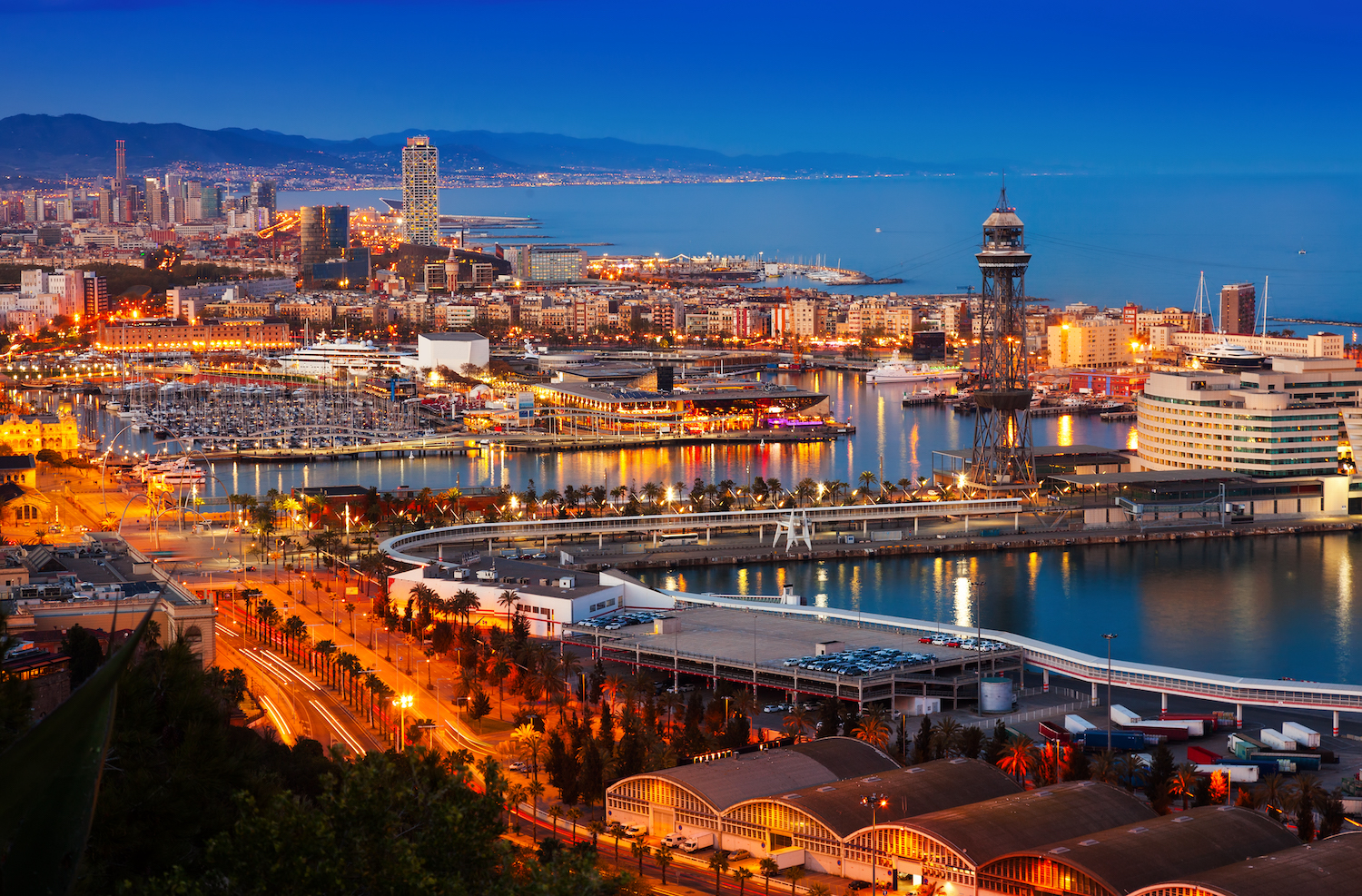 Forwarding Barcelona | Omida VLS